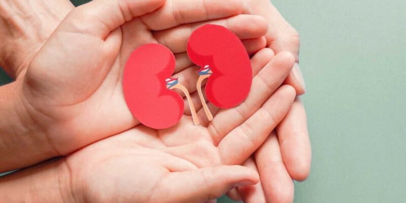 ကျောက်ကပ်ကိုထိန်းသိမ်းရန် လိုက်နာရမည့်အဆင့်ငါးဆင့်။