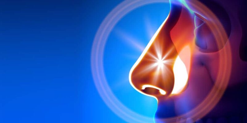 နှာခေါင်း sinus ရောင်ခြင်း။