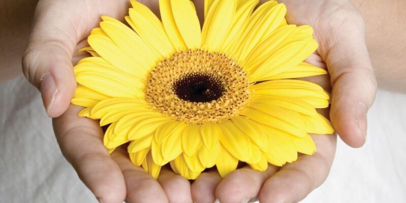 Chemo ကုထုံး